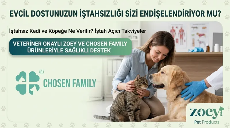 İştahsız Kedi ve Köpeğe Ne Verilir? İştah Açıcı Takviyelerle Can Dostunuza Destek Olun