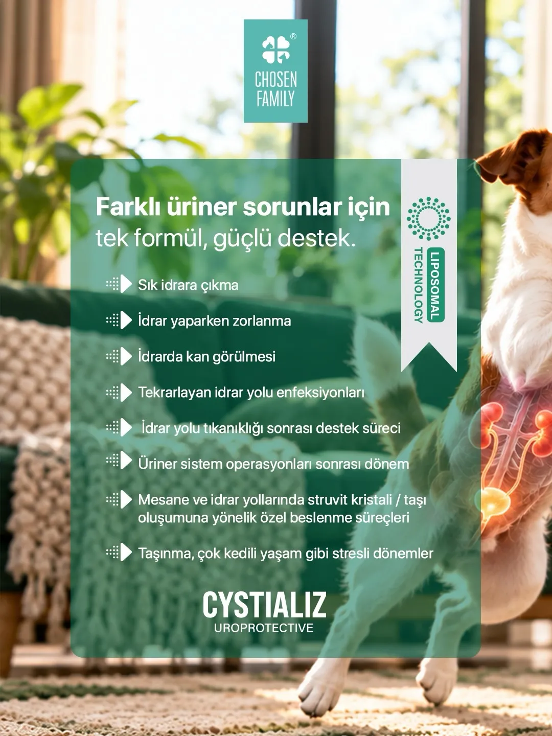 Chosen Family Cystializ Urinary Tract Support for Cats & Dogs (60 ml)