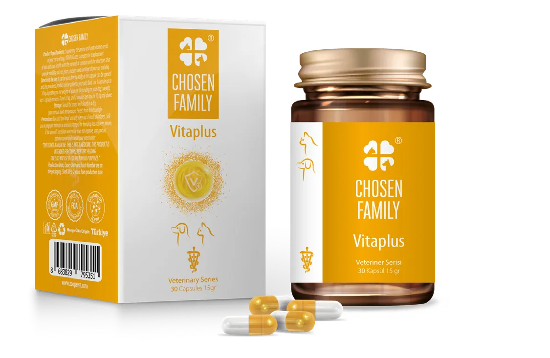 Chosen Family Vitaplus (Kapsül)