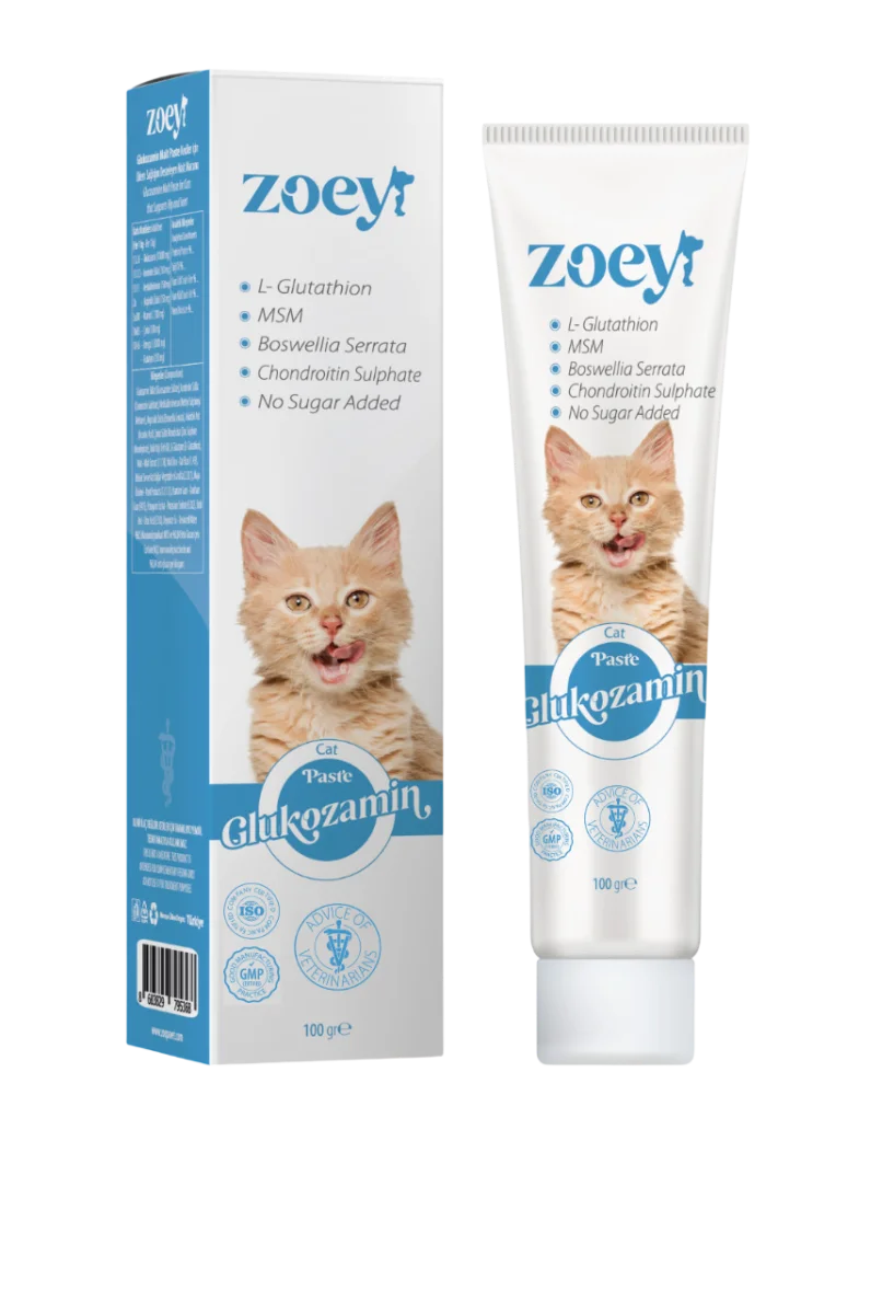 Zoey Glukozamin Paste