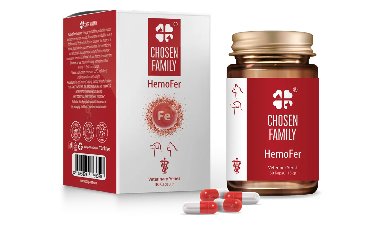 Chosen Family HemoFer (Kapsül)