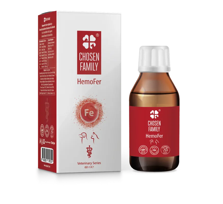 Chosen Family Hemofer Likit (60 ml)